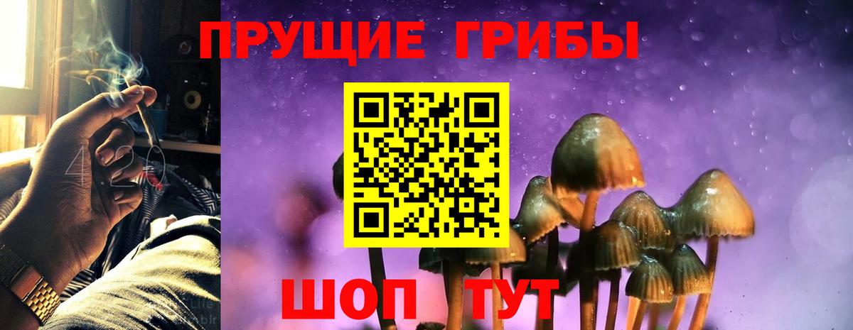 Галлюциногенные грибы прущие грибы  Вход с VPN  Туапсе  Галлюциногенные грибы мухоморы 
