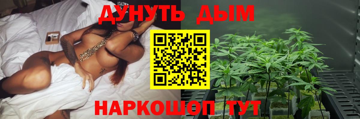 Бошки Шишки AK-47 Туапсе